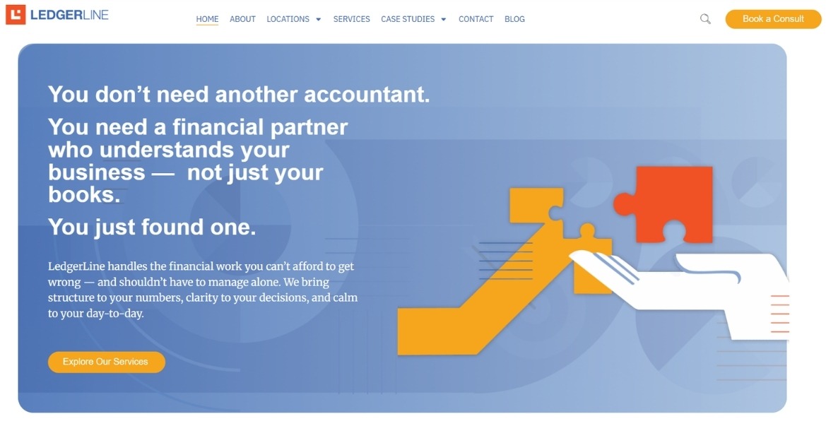 LedgerLine - CPA & Fractional CFO Partner